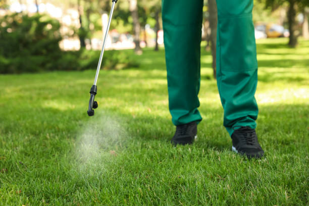 Best Insect Control  in Rockmart, GA