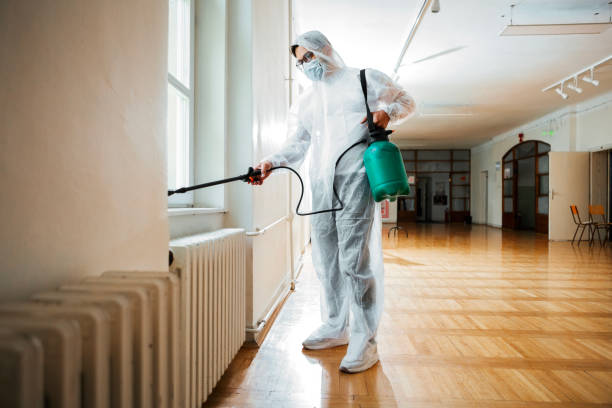 Reliable Rockmart, GA Pest Control Solutions